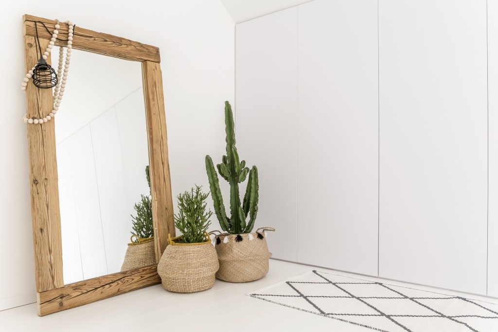 Mirror and plants in a white room