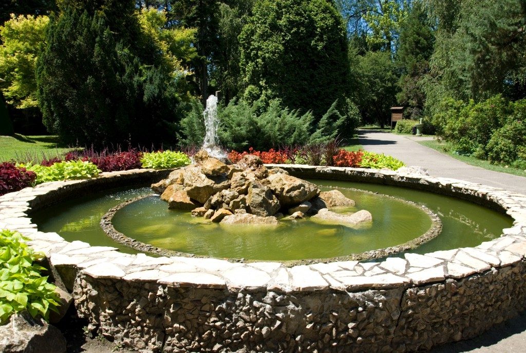 Garden fountain surrounded by flowers