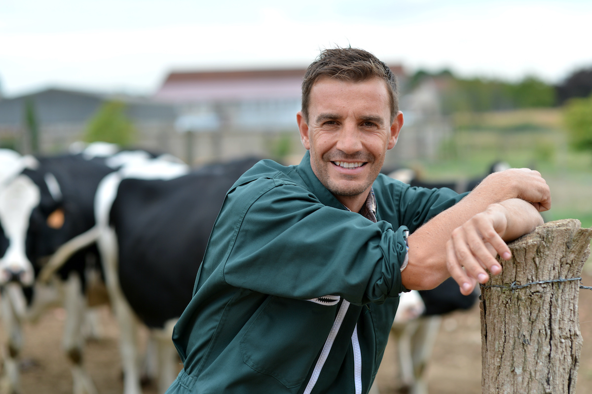 farmer with his cows