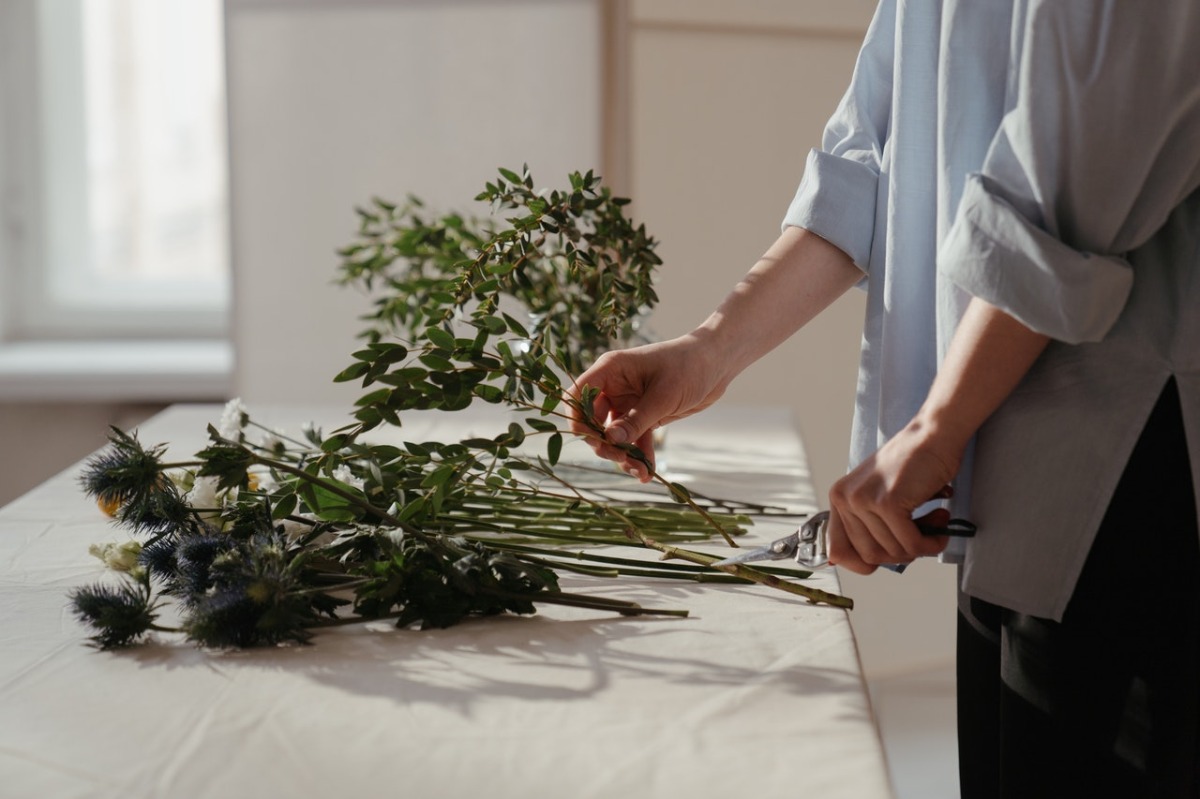 person holding plants