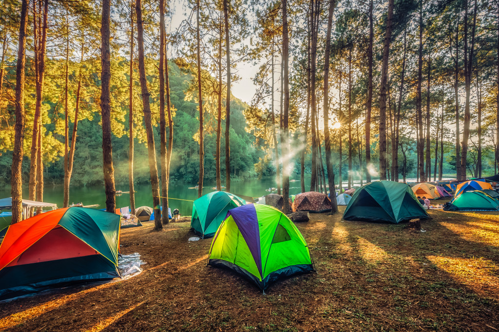 camping in a clearing in the forest