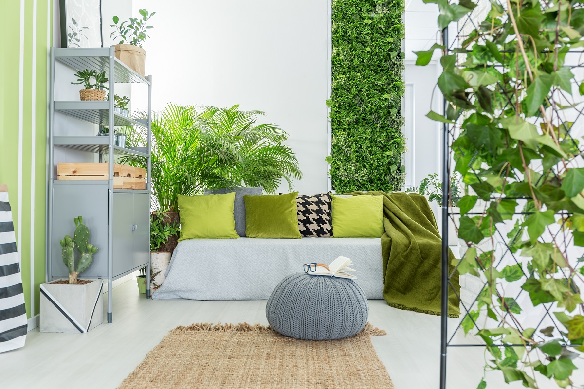 A living room with indoor plants