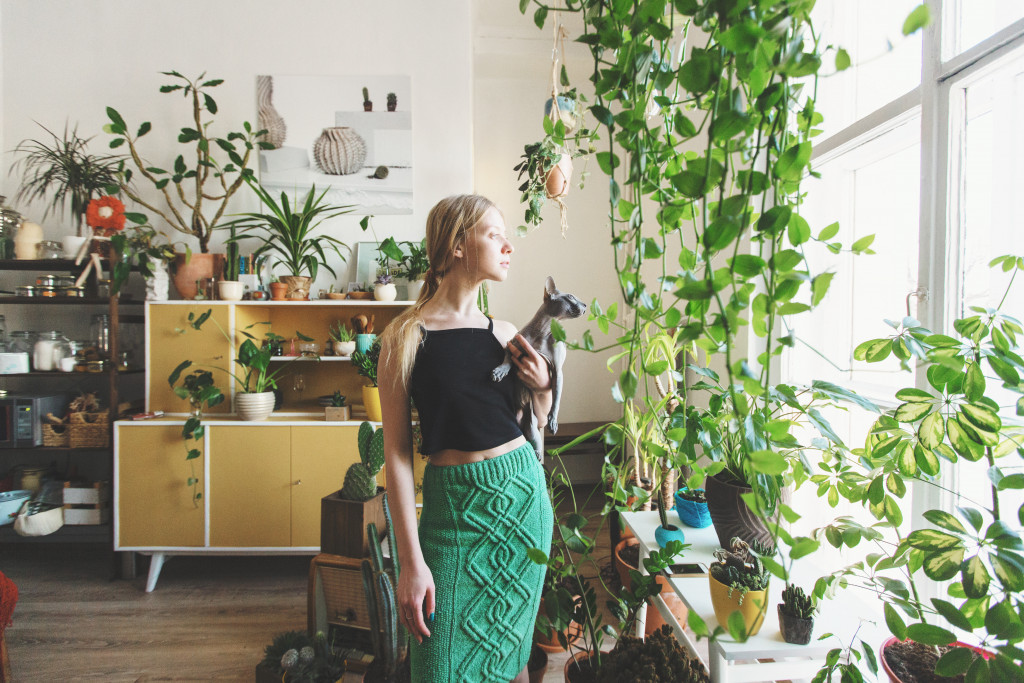 In home plants and woman