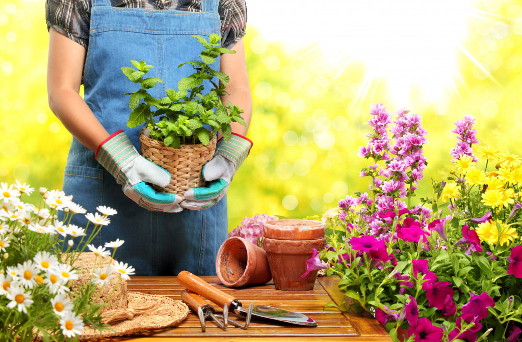 a person with plant in garden