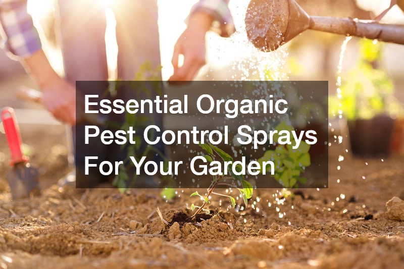 Essential Organic Pest Control Sprays For Your Garden