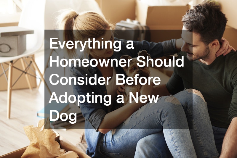 Everything a Homeowner Should Consider Before Adopting a New Dog